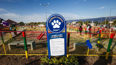 se creo el primer parque tematico canino