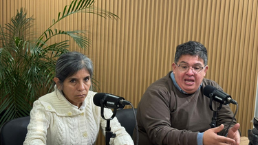 advierten que la caida de la natalidad es un fenomeno regional y multicausal