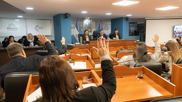 el senado dio sancion definitiva a la creacion del area programatica para ancasti