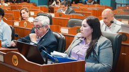 Diputados radicales cuestionaron el presupuesto