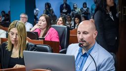 Diputados solicitan datos oficiales para abordar el incremento de suicidios en Catamarca
