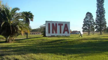 Denuncian que el Consejo Directivo del INTA presentó un plan para echar a 1.500 empleados