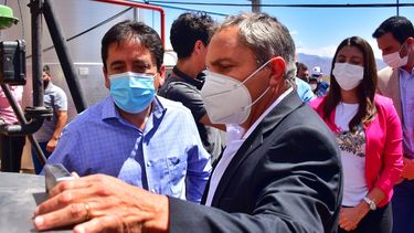 aseguran que la cosecha de uva superara los 20 millones de kilos y crecio un 30%