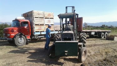 El Este recuperó el tránsito de la producción citrícola a Tucumán
