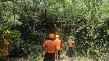 un arbol dano una medianera y activo un operativo de defensa civil en polcos