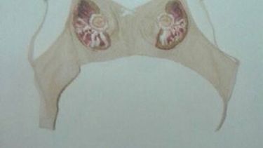 Polémica en la Casa de la Cultura