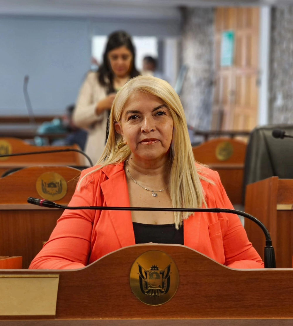 La diputada provincial Cristina Gómez (UCR) propone mejorar la seguridad en los Hospitales y Centros de Salud.