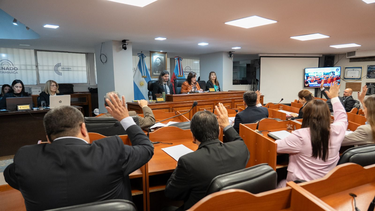 el senado otorgo media sancion a la reforma del codigo procesal civil y comercial