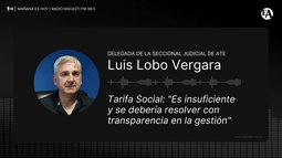 Lobo Vergara apuntó a la Tarifa Social anunciada por el gobierno