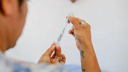 El Gobierno anunció la adquisición de 20.000 dosis de vacunas contra el dengue
