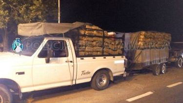 Secuestran gran cantidad de carbón en Capayán
