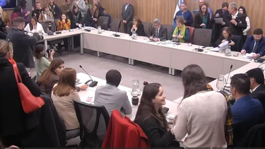 diputados busca crear una comision investigadora para los casos de fentanilo contaminado
