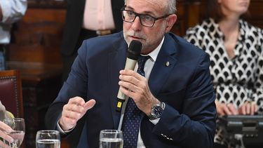El senador nacional Flavio Fama se diferenció de los Patricios.&nbsp;