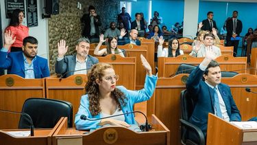 diputados aprobo un proyecto para garantizar el acceso a la salud mental