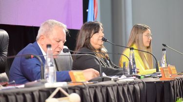 vehemente defensa de cecilia guerrero ante la oposicion