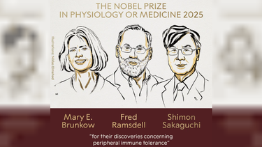 el premio nobel de medicina fue otorgado a mary e. brunkow, fred ramsdell y shimon sakaguchi