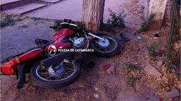 Un motociclista chocó contra un árbol en Santa María