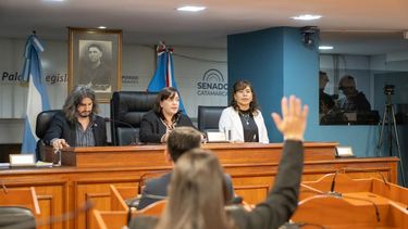 Senadores: media sanción para crear el Banco provincial de prótesis