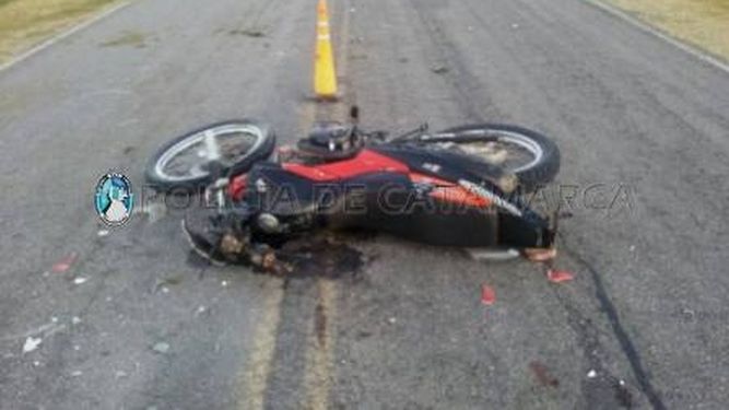 Policía grave tras chocar con un animal