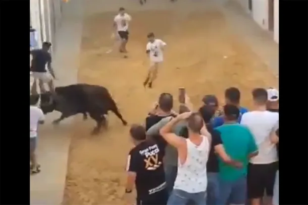 toro españa.webp