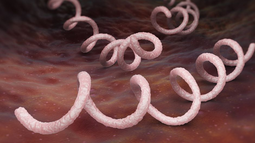 Una emergencia del presente Una emergencia del presente