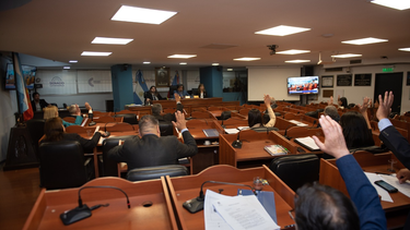 el senado llevo adelante su 20° sesion ordinaria