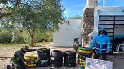 Secuestraron cubiertas y hojas de Coca en un puesto caminero de Valle Viejo