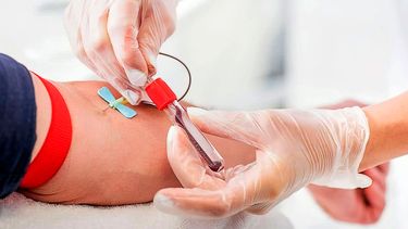 Donación. Un proceso seguro que no dura más de media hora.