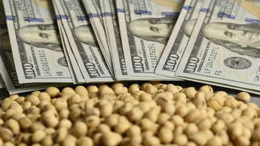 Las exportaciones del agro ya alcanzaron el cupo de u$s7.000 millones Las exportaciones del agro ya alcanzaron el cupo de u$s7.000 millones