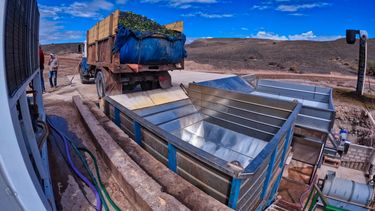 fiambala fue la zona que mejor pago la uva cereza en el pais