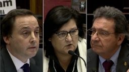 Los senadores por Catamarca canjearon 420 boletos por dinero en el 2018