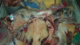 Secuestraron 200 kilogramos de carne en Huillapima