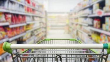esta semana llega el one shot de alimentos
