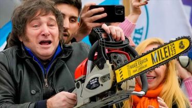 el gobierno anuncio que desfinanciara la investigacion cientifica y cosecho repudios