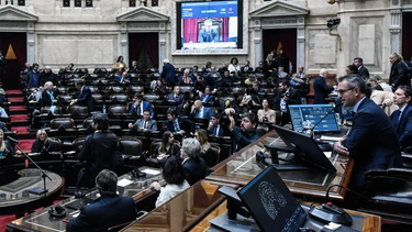 diputados analizan convocar a sesion especial para rechazar los nuevos vetos de javier milei