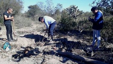 Robaron 60 chivos, escondieron los cueros y vendieron la carne