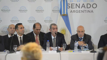 comienza el tercer dia de debate de la ley bases en el senado