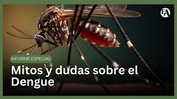 Mitos y dudas sobre el Dengue