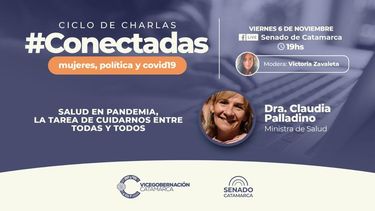 Palladino, junto al vicegobernador en el cierre de #Conectadas