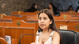 El Senado provincial dio media sanción a la suspensión de las PASO