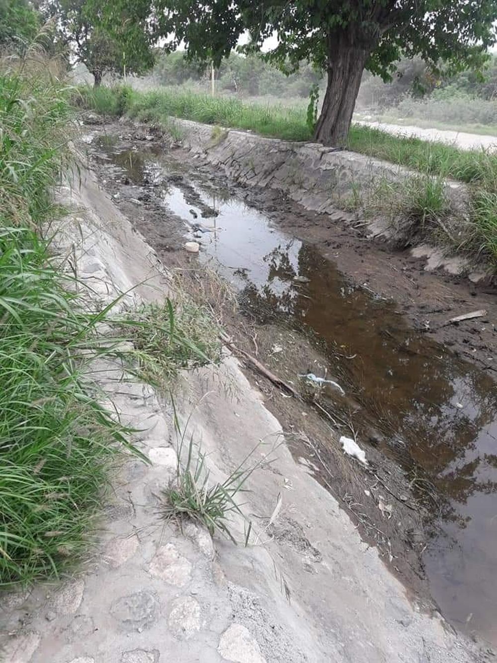 otro año más. aseguran que todos los años padecen la falta de agua.