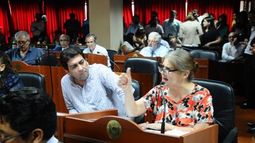 La Legislatura autorizó al Gobierno a pagar la deuda con CAMMESA con bonos