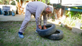 refuerzan operativos contra el dengue con control focal en cuatro barrios refuerzan operativos contra el dengue con control focal en cuatro barrios