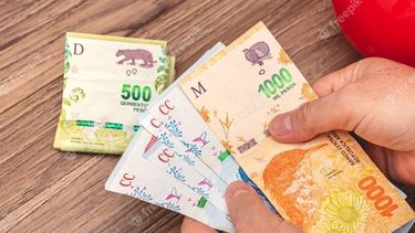 Expansión sustentable o movimiento reflejo