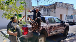 La Secretaría de Medio Ambiente entregó 400 ejemplares para forestación en octubre