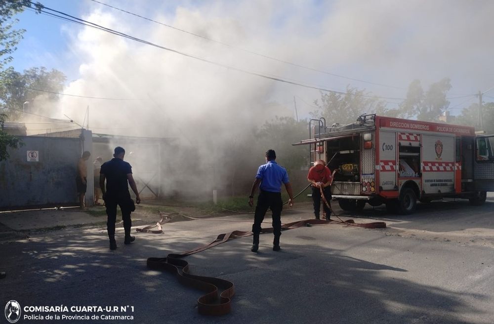 incendio - cria cuarta.jpg