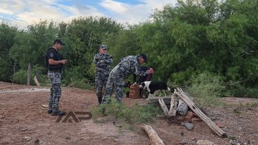 Rastrillajes. Policías e investigadores continúan con la búsqueda de Maira Cabrera.