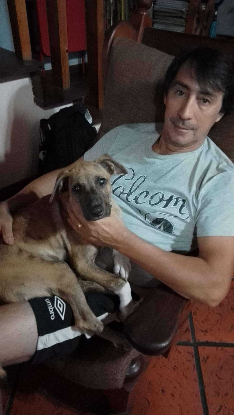 Noel fue rescatado y espera una nueva familia.