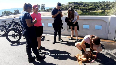 policias rescataron a un perrito que cayo al dique
