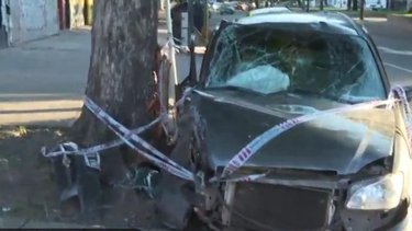 le robo el auto a su tia y termino chocando contra un arbol